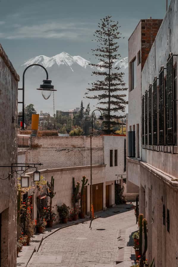 Arequipa: Walk through the Historic Center of the City - The Cathedral and Arequipa’s grand center