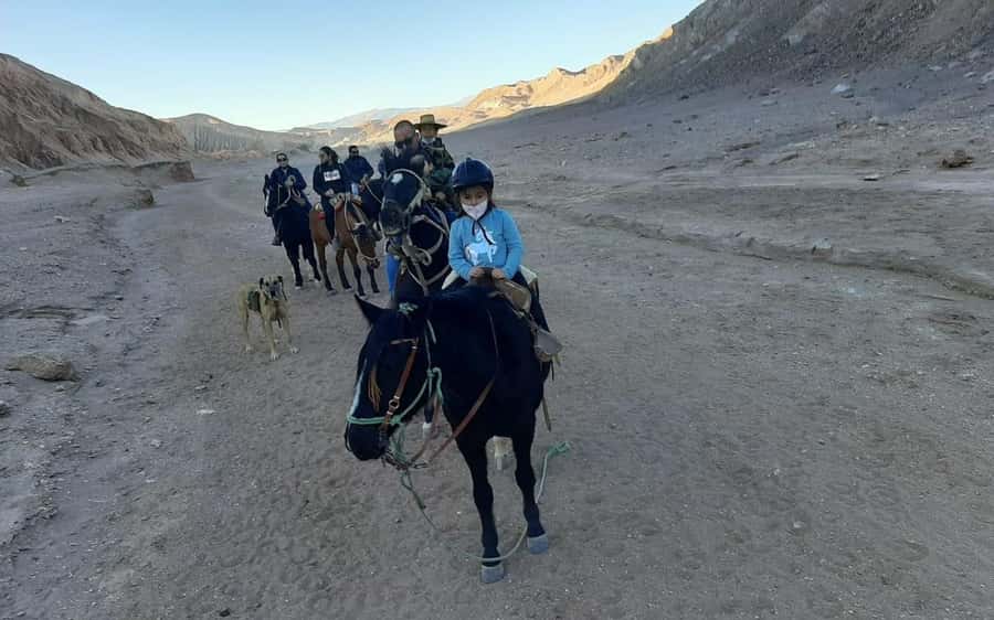 Atacama Desert: Horseback Adventure with Scenic Views - Catarpe Ravine and changing ground