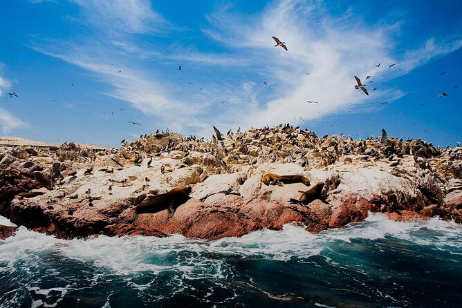 Ballestas Islands & National Reserve of Paracas from Ica - Paracas National Reserve: red sand and open coast