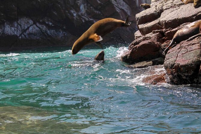 Ballestas Islands & National Reserve of Paracas from Ica - Who should book this day from Ica?