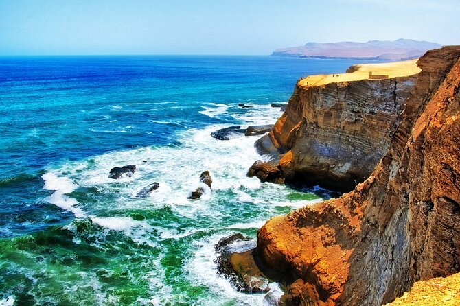 Ballestas Islands & National Reserve of Paracas from Ica - Should you book the Ballestas and Paracas tour?