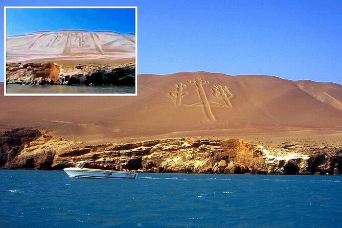 Ballestas Islands & National Reserve of Paracas from Ica - Ballestas Islands: wildlife from a low boat