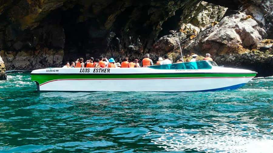 Ballestas Islands & Paracas National Reserve from Paracas - Should you book the Ballestas and Paracas Reserve tour?