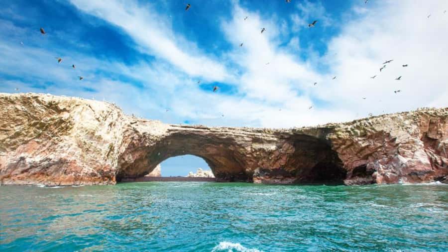 Ballestas Islands & Paracas National Reserve from Paracas - La Catedral and the wild coast of the reserve