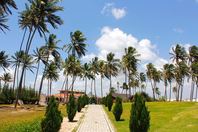 Barra de Punaú Tour - Departing from Natal - Why Barra de Punaú feels different from a standard beach day