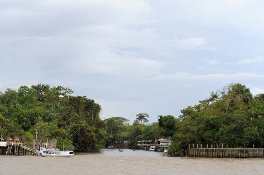 Belém: Half-Day Furos Boat Tour & Riverside Community Visit - From Belém’s waterfront to the Guamá River