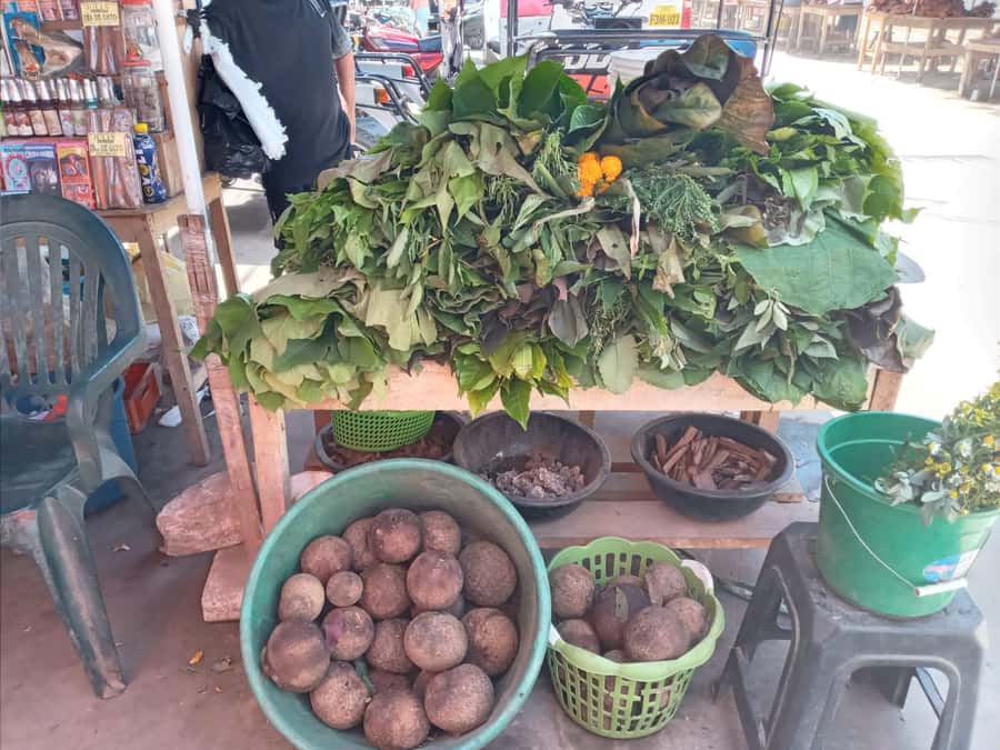 Belen Market & Floating City 2-3 Hour Private Tour - Key points at a glance