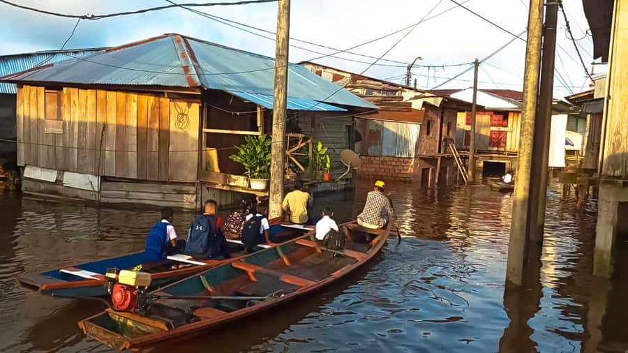Belen Market & Floating City 2-3 Hour Private Tour - Who will enjoy this tour most?