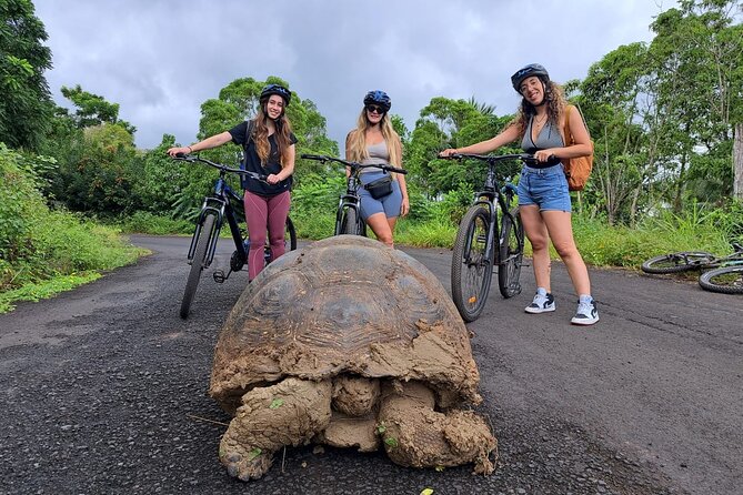 BiciTour Giant Turtles and Lava Tunnel in Galapagos - Going underground into two lava tunnels