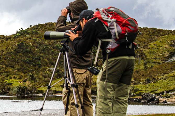 Birdwatching Tour in Cajas National Park from Cuenca - Who should book this Cajas birding tour