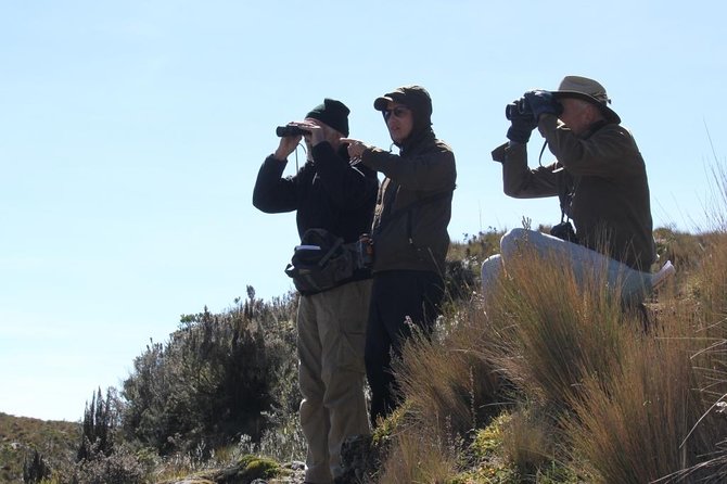 Birdwatching Tour in Cajas National Park from Cuenca - The 6:30 a.m. pickup from Cuenca