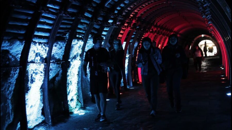 Bogotá: Salt Cathedral Private Tour with Entry Ticket Basic - The private ride makes an eight-hour day easier