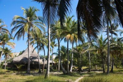 Bora Bora Cartagena Beach Club Full Day Experience