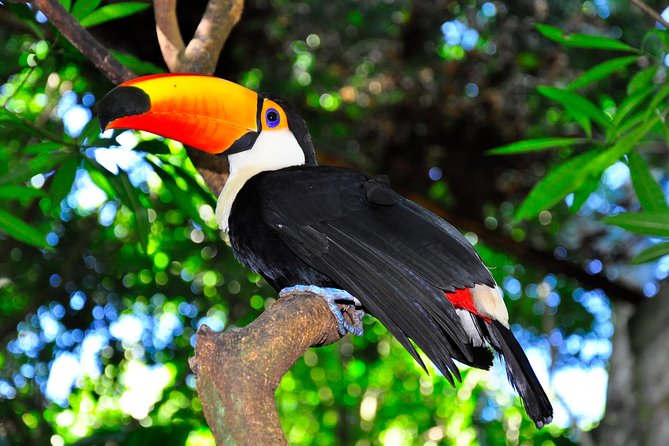 Brazilian Falls, Bird Park and Itaipu Dam from Foz do Iguaçu - FAQ