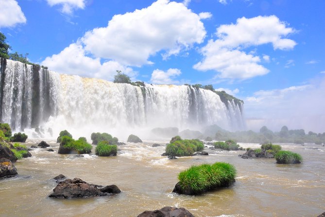 Brazilian Falls, Bird Park and Itaipu Dam from Foz do Iguaçu - Parque das Aves: a quieter wildlife stop