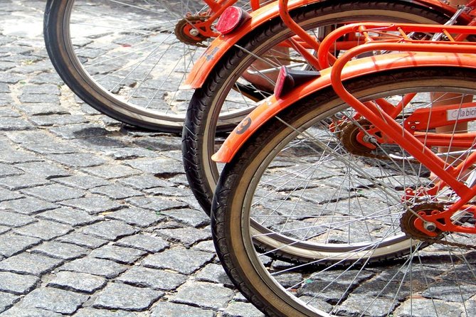 Buenos Aires Bike Tour: San Telmo and La Boca Districts - Plaza de Mayo brings the tour back to the center