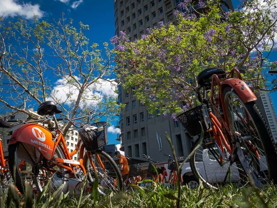Buenos Aires Bike Tour: South or North Circuit - La Boca and the Bright Side of Buenos Aires