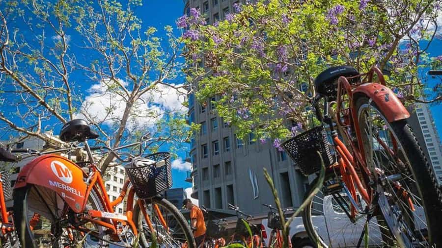 Buenos Aires Bike Tour: South or North Circuit - Plaza de Mayo and the Civic Center