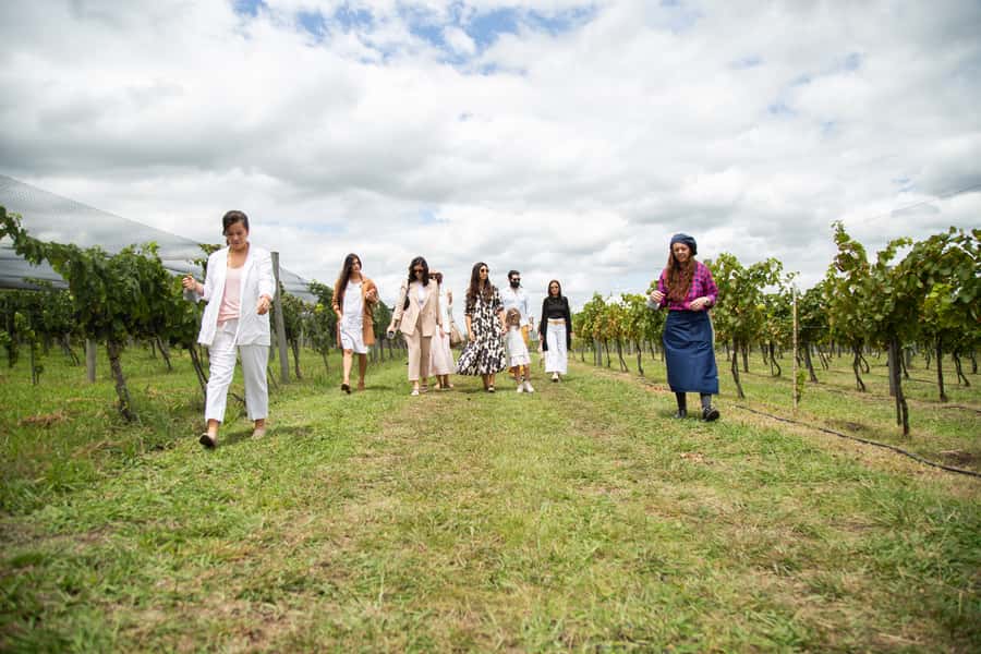 Buenos Aires: Wine Tasting and Lunch at Bodega Gamboa - A long lunch with Argentine wine