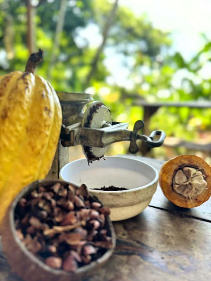 Cacao Experience Tour - Starting at Minca’s quiet church
