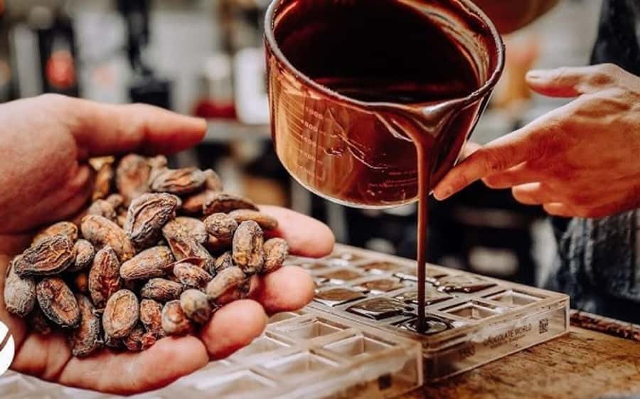 Cacao Experience Tour - Seeing cacao before it becomes chocolate