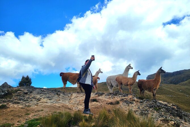 Cajas Unveiled: A Half-Day Escape from Cuenca - Leaving Cuenca with a coffee stop at Dos Chorreras