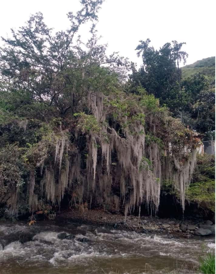 Cali: Cali River Waterfall and Great River Pools Tour - Should you book the Cali River Waterfall tour?