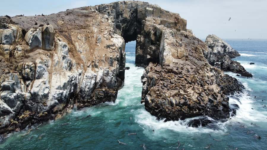 Callao: Swimming with Sea Lions Palomino Islands Boat Tour - Palomino Island, where sea lions own the water