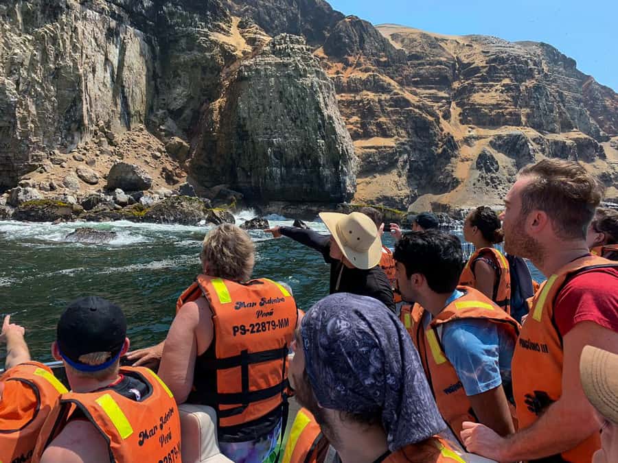 Callao: Swimming with Sea Lions Palomino Islands Boat Tour - The Palomino Island swim stop