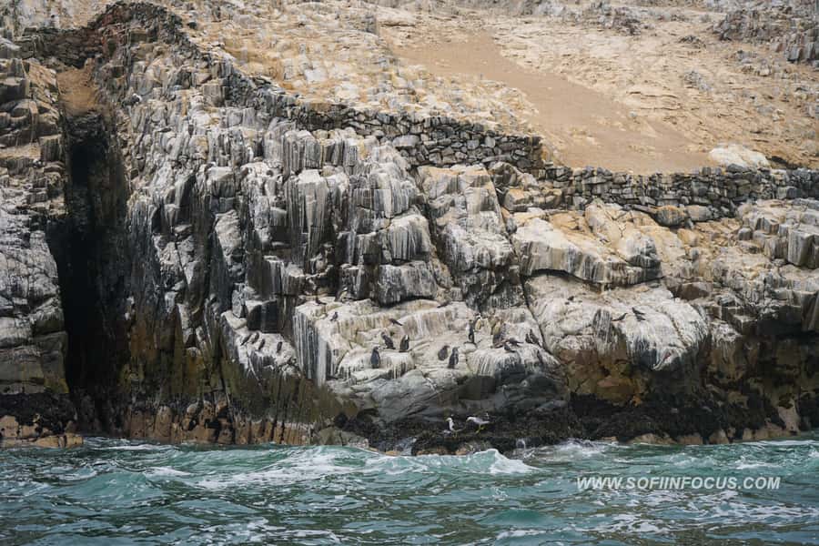 Callao: Swimming with Sea Lions Palomino Islands Boat Tour - Photos, snacks, and the ride back