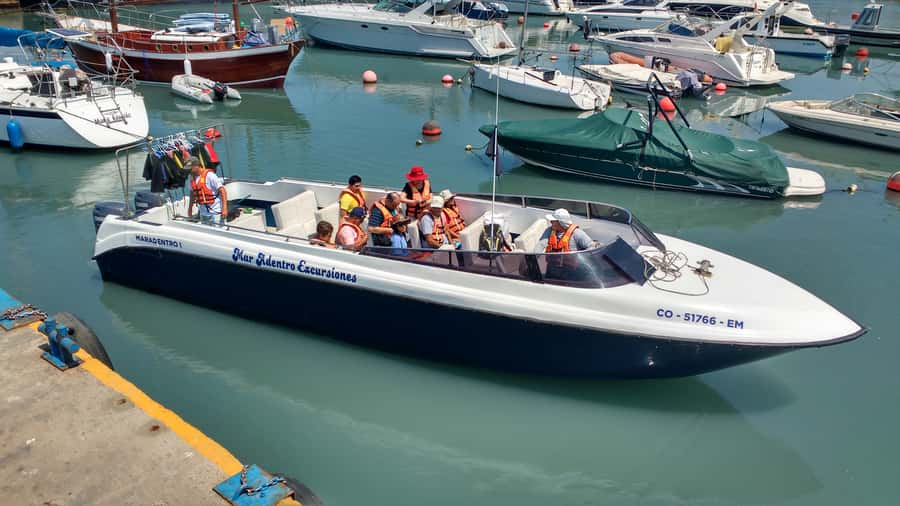 Callao: Swimming with Sea Lions Palomino Islands Boat Tour - How the $76 price works out