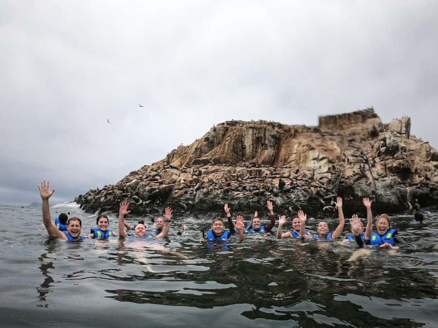 Callao: Swimming with Sea Lions Palomino Islands Boat Tour - San Lorenzo Island and the bird-filled route