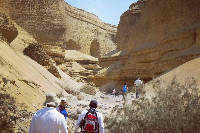 Cañón de los Perdidos Excursion - What the wildlife and remote setting add