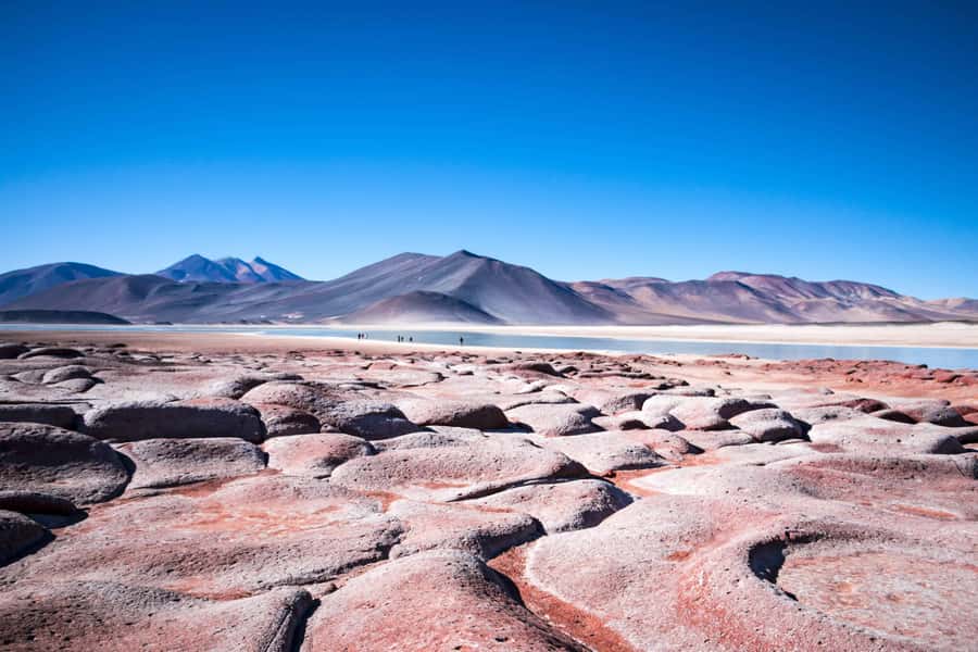Caracoles: Red Stones of Atacama and Chaxa Guided Day Trip - Key points at a glance