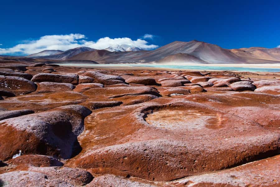Caracoles: Red Stones of Atacama and Chaxa Guided Day Trip - Chaxa Lagoon and its flamingos