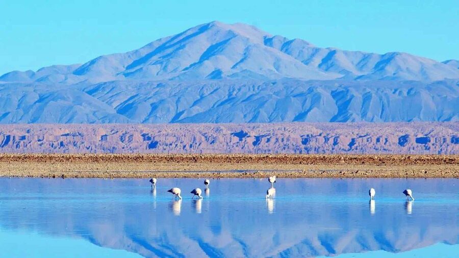 Caracoles: Red Stones of Atacama and Chaxa Guided Day Trip - Breakfast and lunch make the long day easier