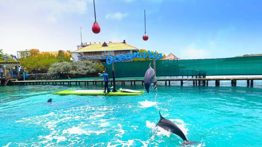CARTAGENA: 4 islands by sport boat +oceanarium tickets - What to bring and who should skip it