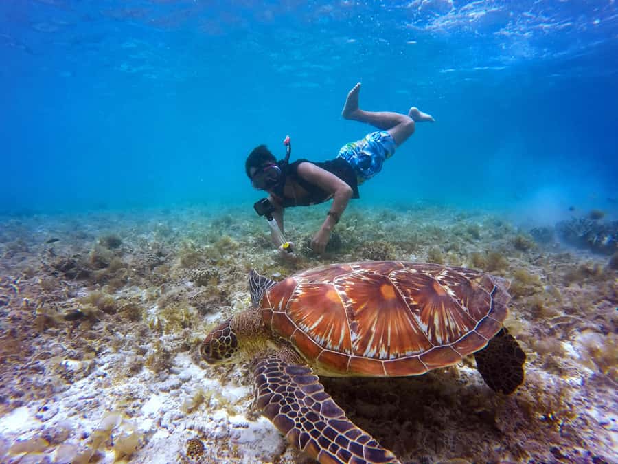 Cartagena: 5 Islands Boat Tour with Lunch, Snorkeling, & Bar - Key points to know before booking