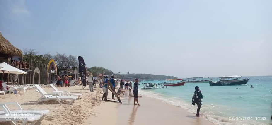 Cartagena: Barù Island Playa Blanca with Lunch - The Caribbean lunch with fish and coconut rice