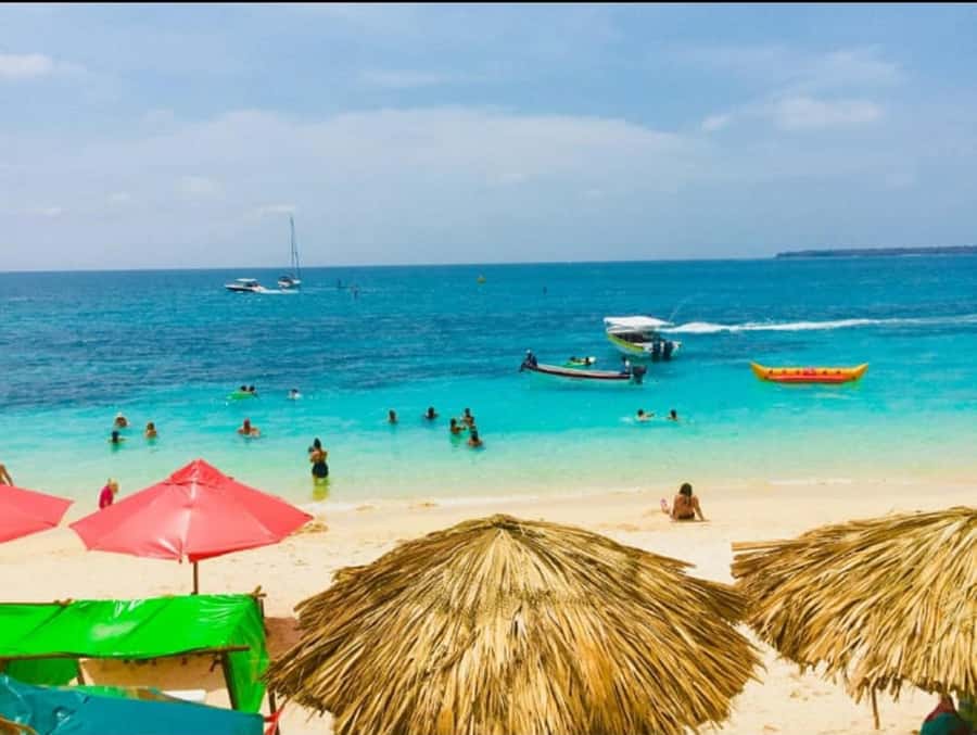 Cartagena: Barù Island Playa Blanca with Lunch - What the bilingual representative adds