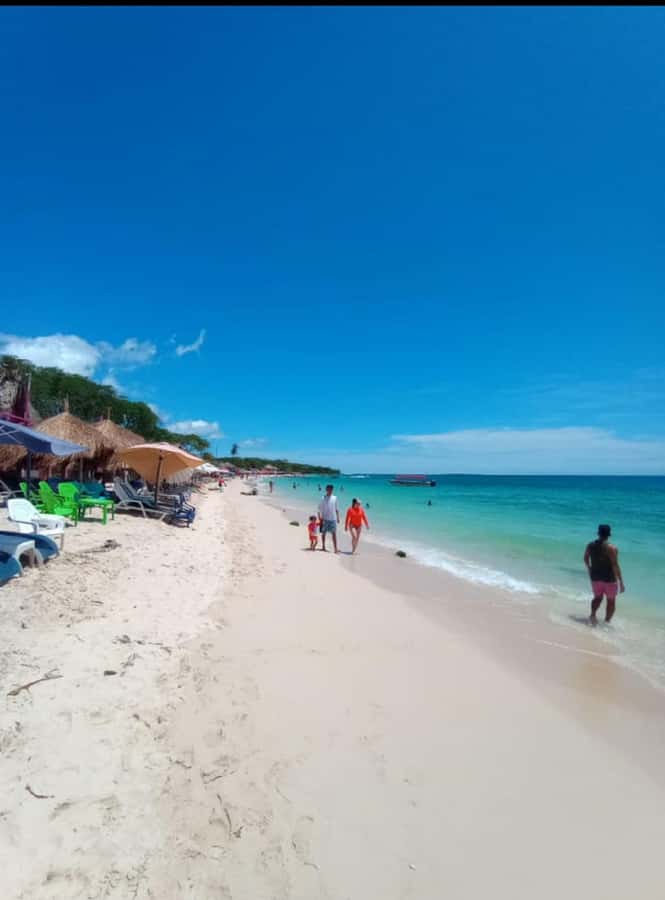 Cartagena: Barù Island Playa Blanca with Lunch - Early pickup from Cartagena’s hotel areas