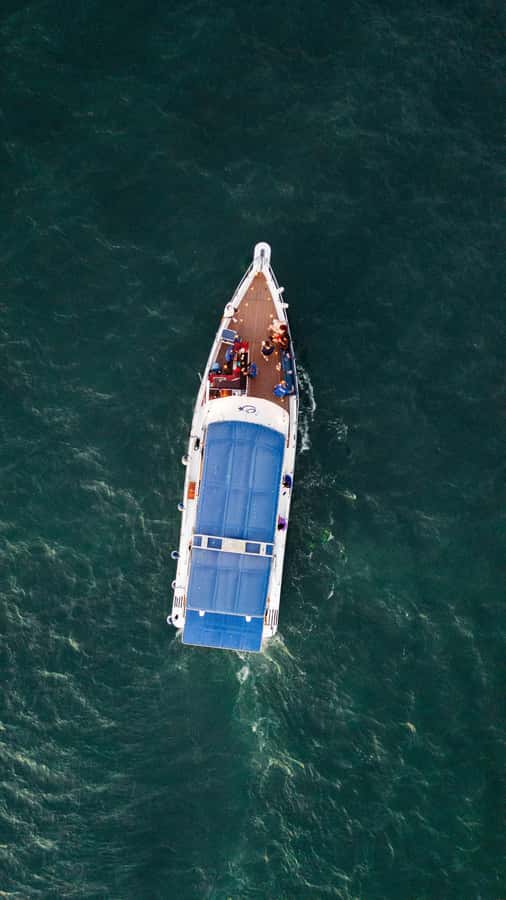 Cartagena: Cruise by the Bay with Dinner and Wine - Dinner choices and what the meal is like