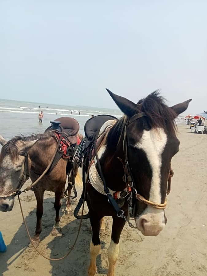 Cartagena: Horse Riding on the Beach with Photos and Lunch - Key points to know before booking