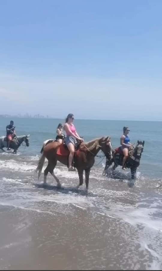 Cartagena: Horse Riding on the Beach with Photos and Lunch - What the horse ride feels like for different riders