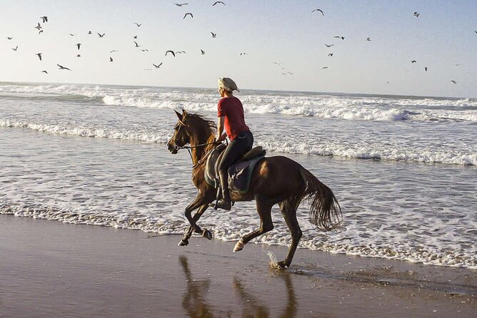 Cartagena: Horseback Riding at the Beach During Day or Sunset - Getting to the meeting point without trouble