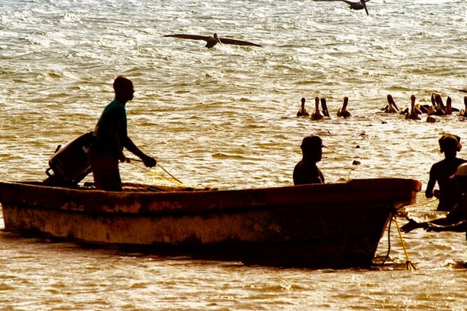 Cartagena: Horseback Riding at the Beach During Day or Sunset - Who should choose the sunset departure?