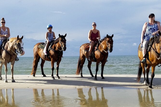 Cartagena: Horseback Riding at the Beach During Day or Sunset - Day ride or sunset ride?