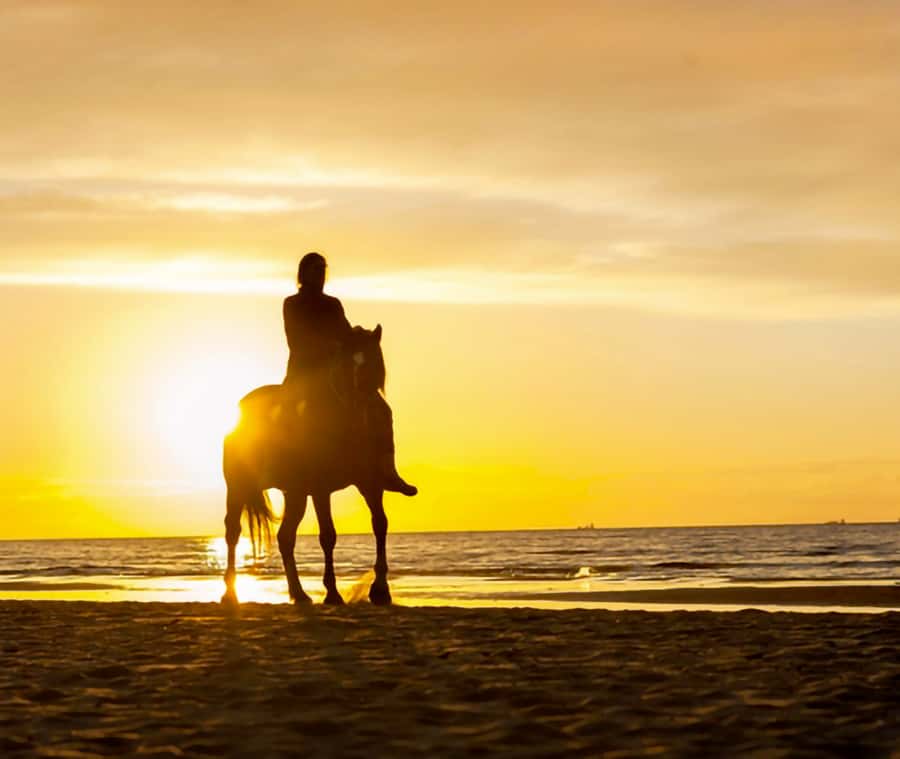 Cartagena: Horseback Riding on the Beach at Sunset - Riding beyond Cartagena’s hotel zone