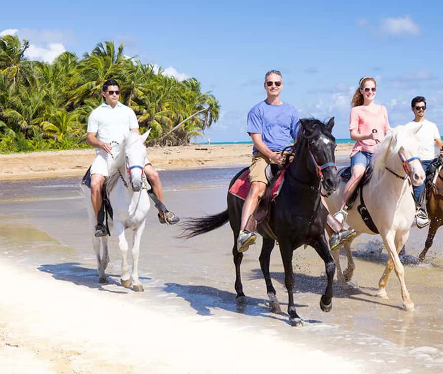 Cartagena: Horseback Riding on the Beach at Sunset - Getting matched with the right horse