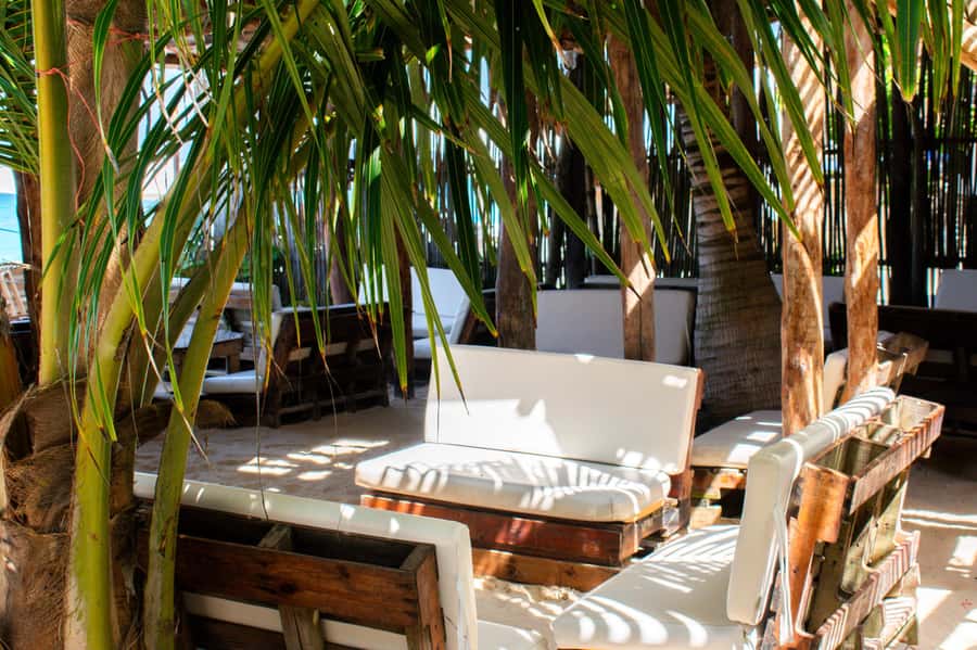 Cartagena: Isla Baru Beach Club at Playa Blanca - Should you book the Mambo Beach Playa Blanca day trip?
